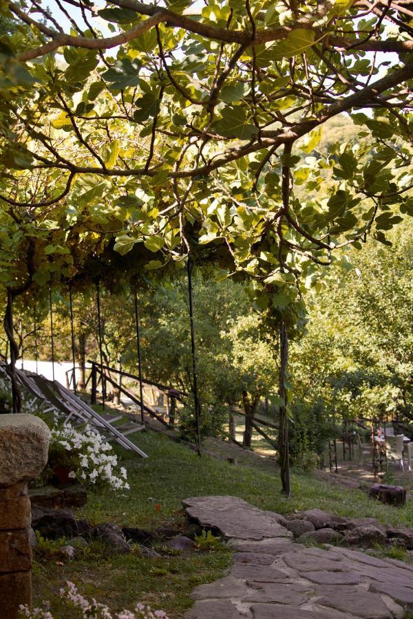 Гостевой дом Borgo Casale Albareto  Экстерьер фото
